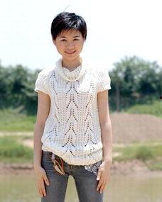 主持人王燕个人资料,主持界的璀璨明星，才华横溢的媒体人