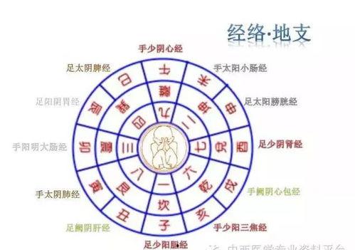 八卦养生吧,揭秘传统养生之道